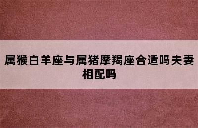 属猴白羊座与属猪摩羯座合适吗夫妻相配吗