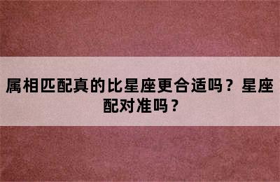 属相匹配真的比星座更合适吗？星座配对准吗？