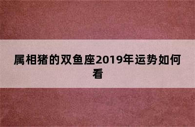 属相猪的双鱼座2019年运势如何看