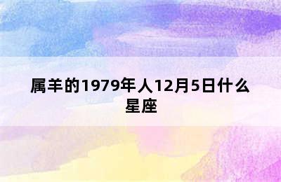 属羊的1979年人12月5日什么星座