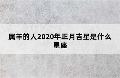 属羊的人2020年正月吉星是什么星座