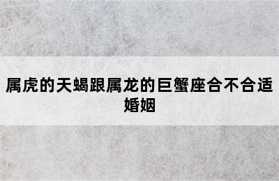 属虎的天蝎跟属龙的巨蟹座合不合适婚姻