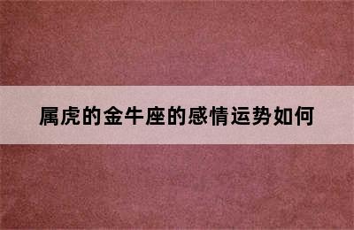 属虎的金牛座的感情运势如何