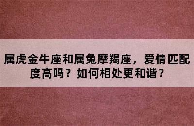 属虎金牛座和属兔摩羯座，爱情匹配度高吗？如何相处更和谐？