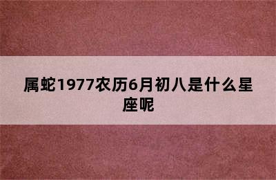 属蛇1977农历6月初八是什么星座呢