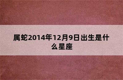 属蛇2014年12月9日出生是什么星座