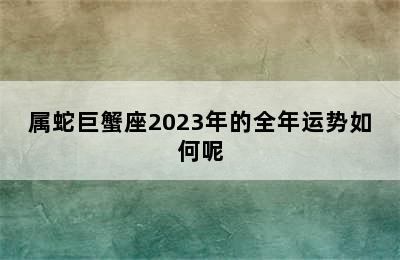 属蛇巨蟹座2023年的全年运势如何呢