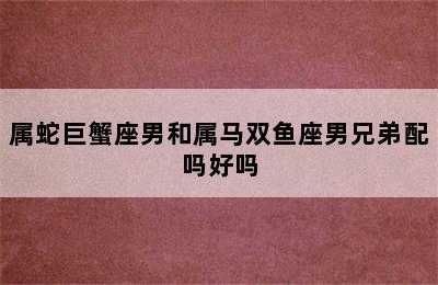 属蛇巨蟹座男和属马双鱼座男兄弟配吗好吗