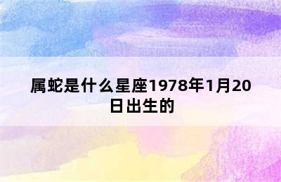 属蛇是什么星座1978年1月20日出生的