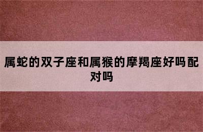 属蛇的双子座和属猴的摩羯座好吗配对吗