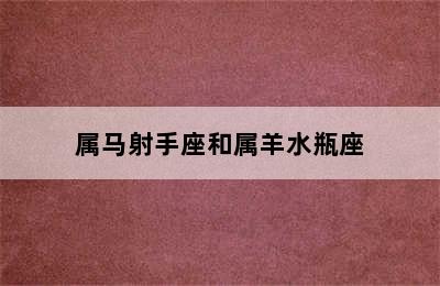 属马射手座和属羊水瓶座