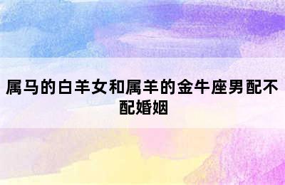 属马的白羊女和属羊的金牛座男配不配婚姻