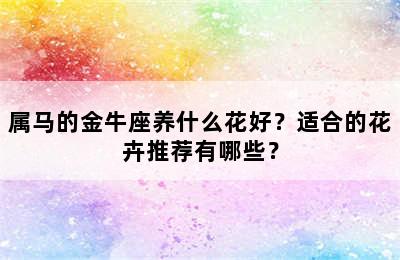 属马的金牛座养什么花好？适合的花卉推荐有哪些？