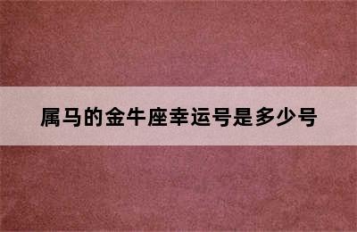 属马的金牛座幸运号是多少号