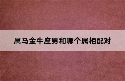 属马金牛座男和哪个属相配对