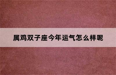 属鸡双子座今年运气怎么样呢