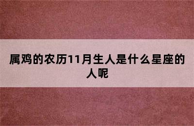 属鸡的农历11月生人是什么星座的人呢