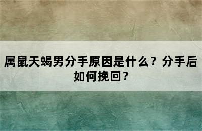 属鼠天蝎男分手原因是什么？分手后如何挽回？