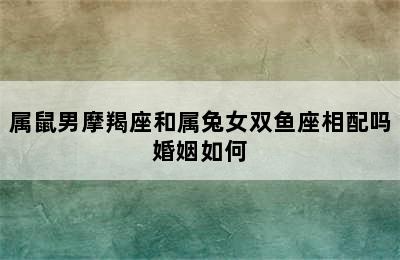 属鼠男摩羯座和属兔女双鱼座相配吗婚姻如何