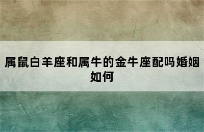 属鼠白羊座和属牛的金牛座配吗婚姻如何