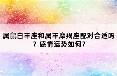 属鼠白羊座和属羊摩羯座配对合适吗？感情运势如何？