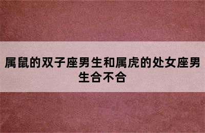 属鼠的双子座男生和属虎的处女座男生合不合