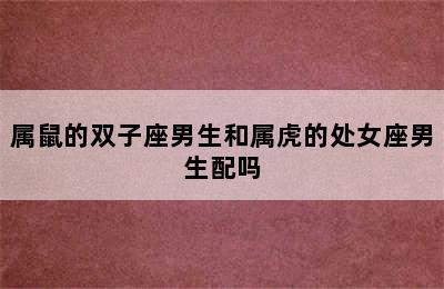 属鼠的双子座男生和属虎的处女座男生配吗