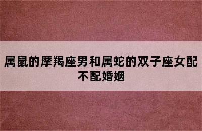 属鼠的摩羯座男和属蛇的双子座女配不配婚姻