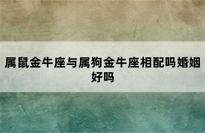 属鼠金牛座与属狗金牛座相配吗婚姻好吗