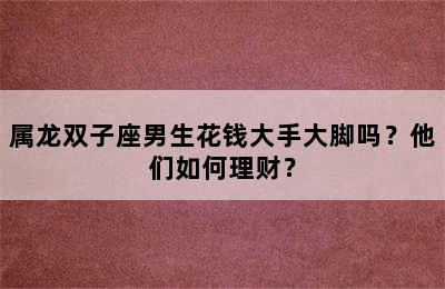 属龙双子座男生花钱大手大脚吗？他们如何理财？