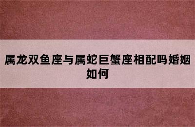 属龙双鱼座与属蛇巨蟹座相配吗婚姻如何