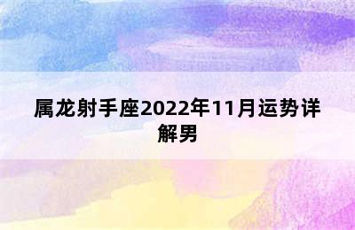 属龙射手座2022年11月运势详解男