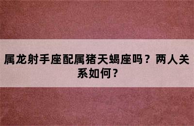属龙射手座配属猪天蝎座吗？两人关系如何？
