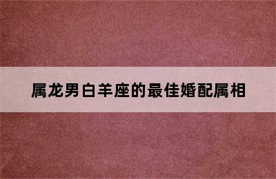 属龙男白羊座的最佳婚配属相