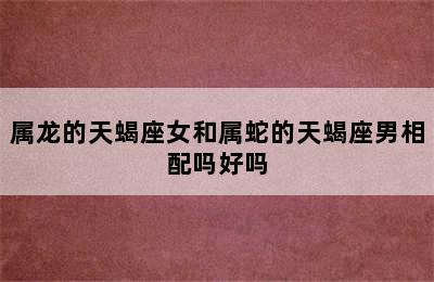 属龙的天蝎座女和属蛇的天蝎座男相配吗好吗