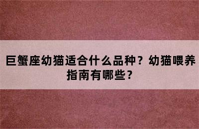 巨蟹座幼猫适合什么品种？幼猫喂养指南有哪些？