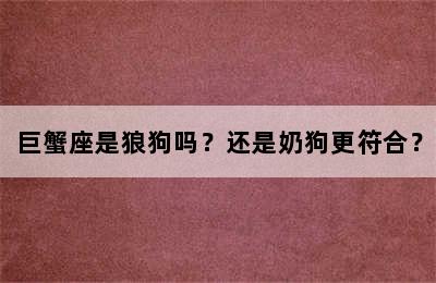 巨蟹座是狼狗吗？还是奶狗更符合？