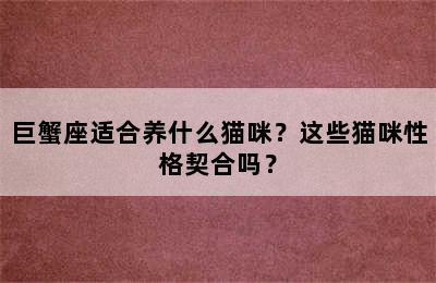 巨蟹座适合养什么猫咪？这些猫咪性格契合吗？