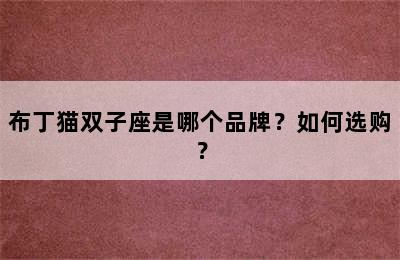 布丁猫双子座是哪个品牌？如何选购？