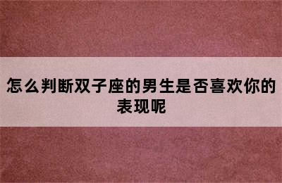 怎么判断双子座的男生是否喜欢你的表现呢