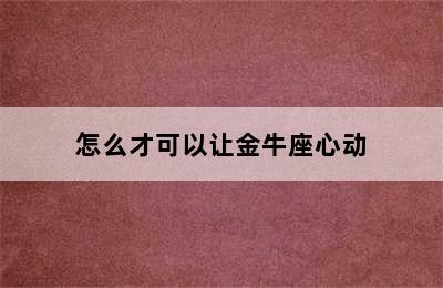 怎么才可以让金牛座心动