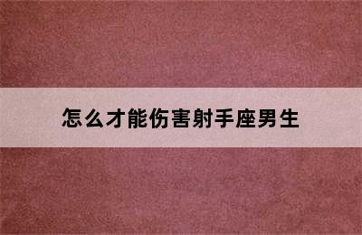 怎么才能伤害射手座男生