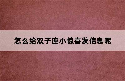 怎么给双子座小惊喜发信息呢