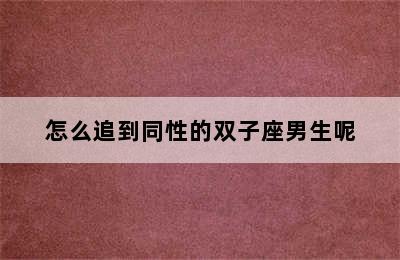 怎么追到同性的双子座男生呢