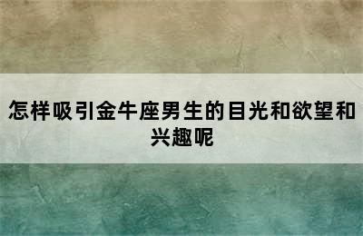 怎样吸引金牛座男生的目光和欲望和兴趣呢