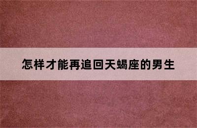 怎样才能再追回天蝎座的男生