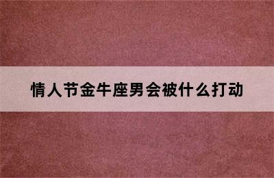 情人节金牛座男会被什么打动