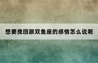 想要挽回跟双鱼座的感情怎么说呢