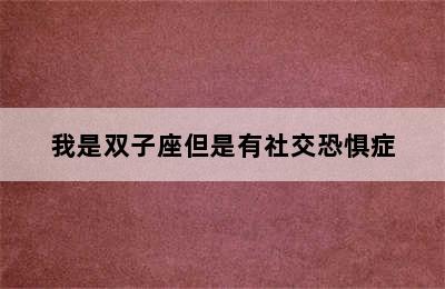 我是双子座但是有社交恐惧症