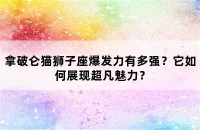 拿破仑猫狮子座爆发力有多强？它如何展现超凡魅力？